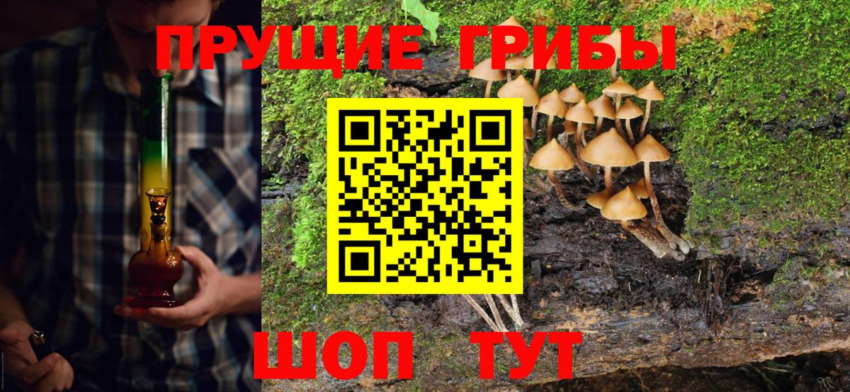 хочу   Псилоцибиновые грибы мицелий  Вход с VPN  Кировск 